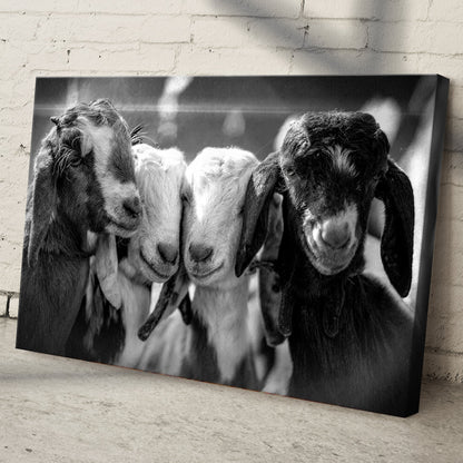 Black And White Baby Goats Canvas Wall Art