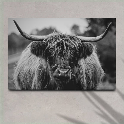 Highland Cow Rustic Gray Canvas Wall Art