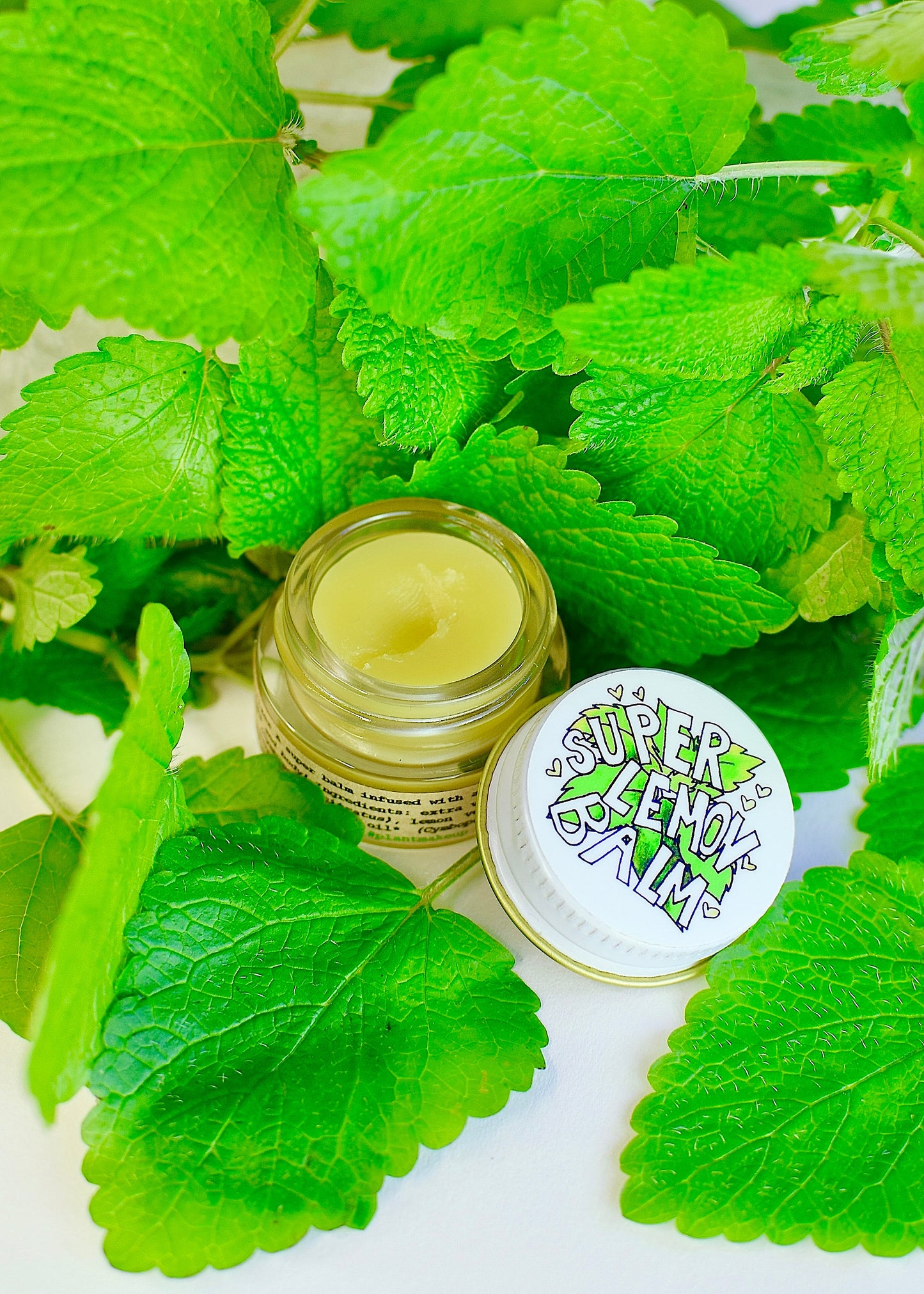 SUPER LEMON BALM