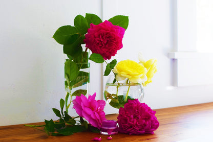 Dragon Fruit Lip Gloss