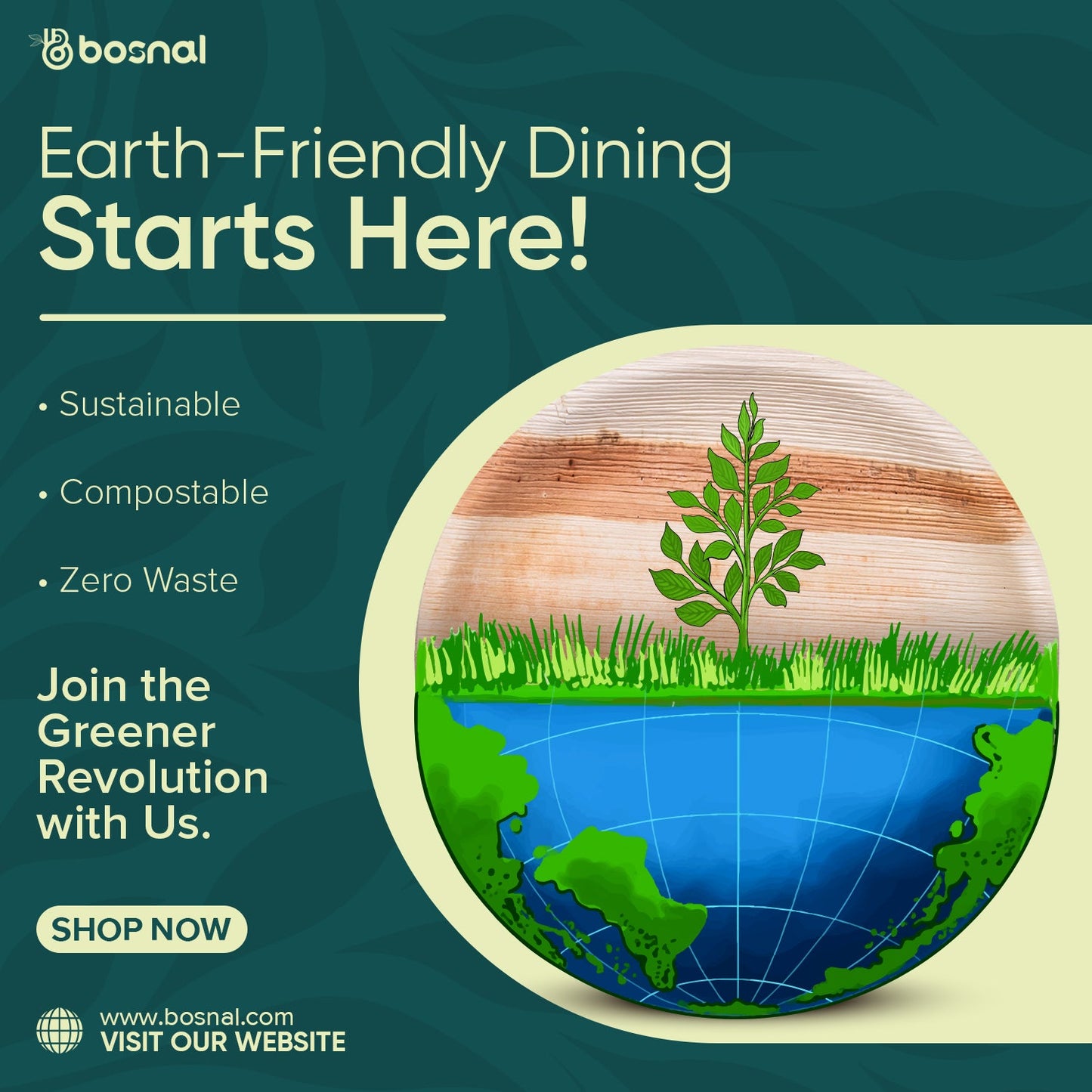 Bosnal - Palm Leaf Biodegradable Plates, 9 inch, Round