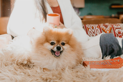 Healthy, Happy, Sexy by Katie Silcox