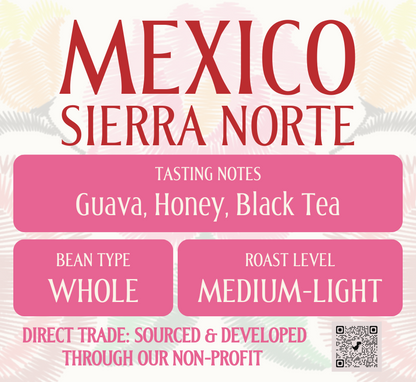 Mexico - Sierra Norte