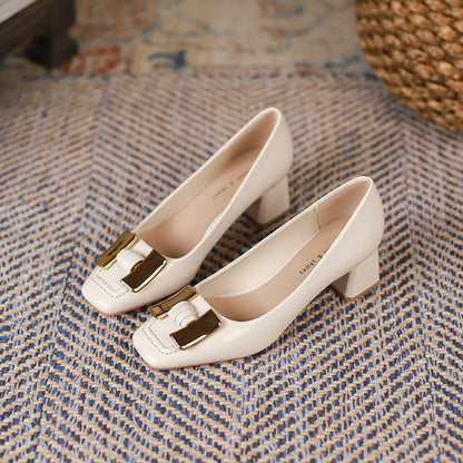 Chunky Heel Mary Jane Commuter Shoes