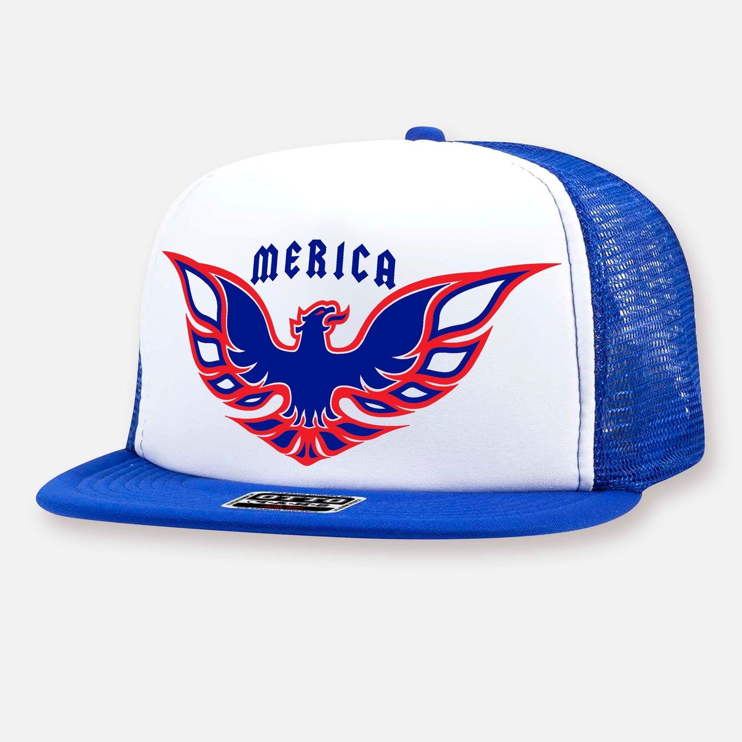 PARTY BIRD FLAT BILL HAT