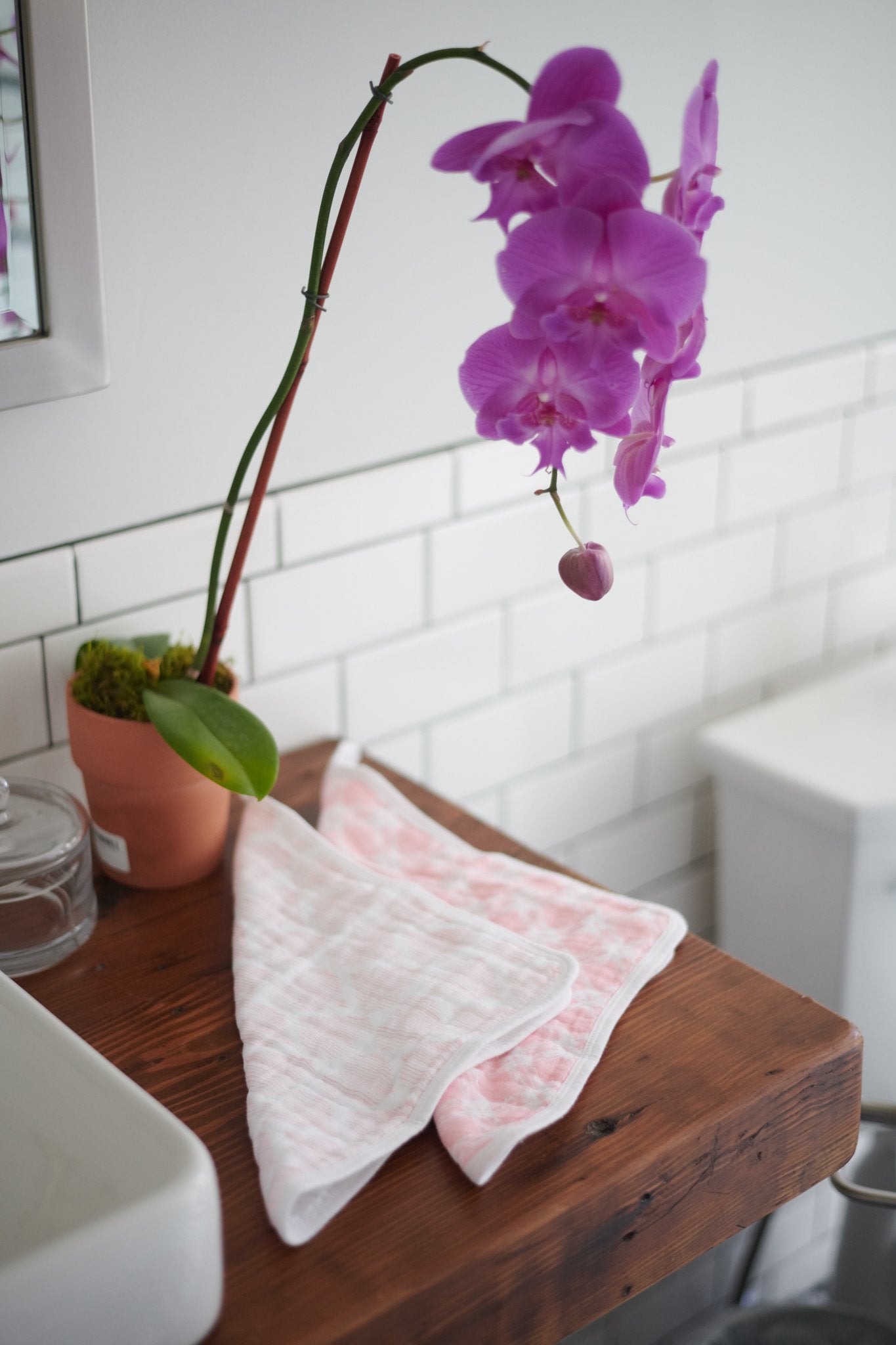 Pop of Pink Wash Cloth set 3PK