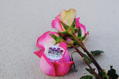 Beach Rose Scrub