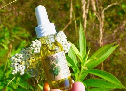 Yarrow Beauty Serum
