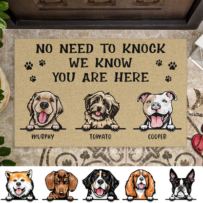 No Need To Knock We Know You Are Here Personalized Custom Photo Dog Cat Doormat C685