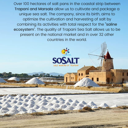 SoSalt, Fine Natural Sea Salt, Shaker, 12 x 750g (26.5 oz)