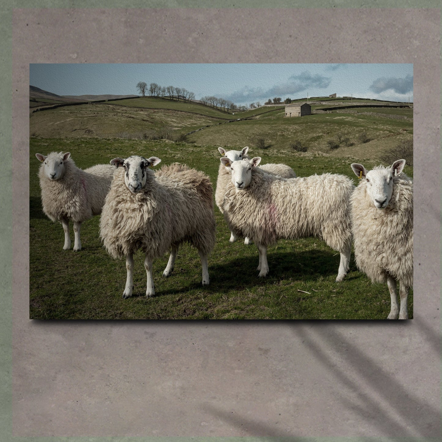 Flock Of Sheep Canvas Wall Art
