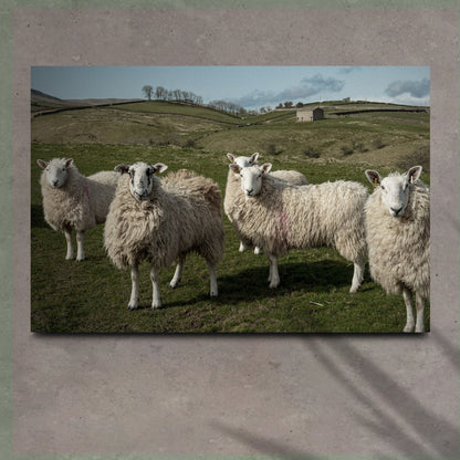 Flock Of Sheep Canvas Wall Art
