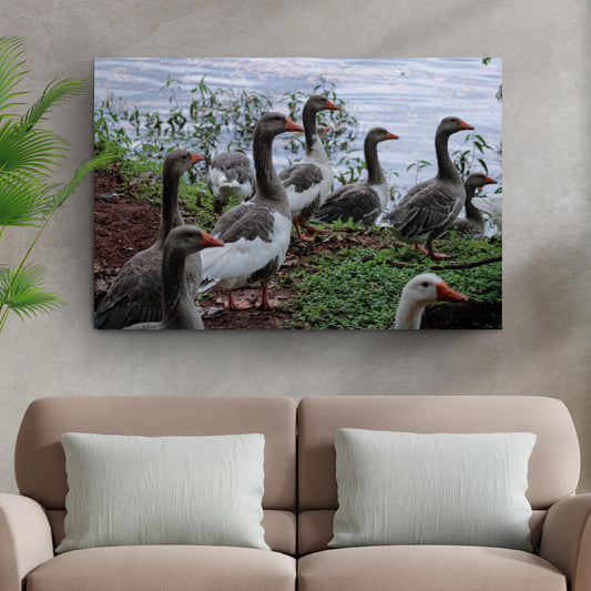 Flock Of Domestic Geese Canvas Wall Art
