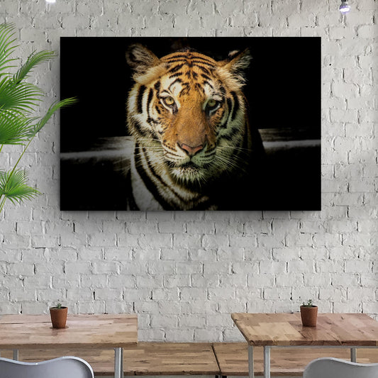 Lurking Tiger In The Dark Canvas Wall Art