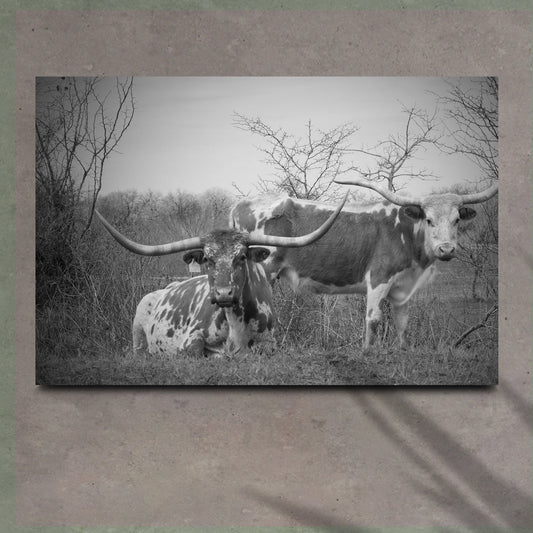 Monochrome Texas Longhorn Cattle Canvas Wall Art