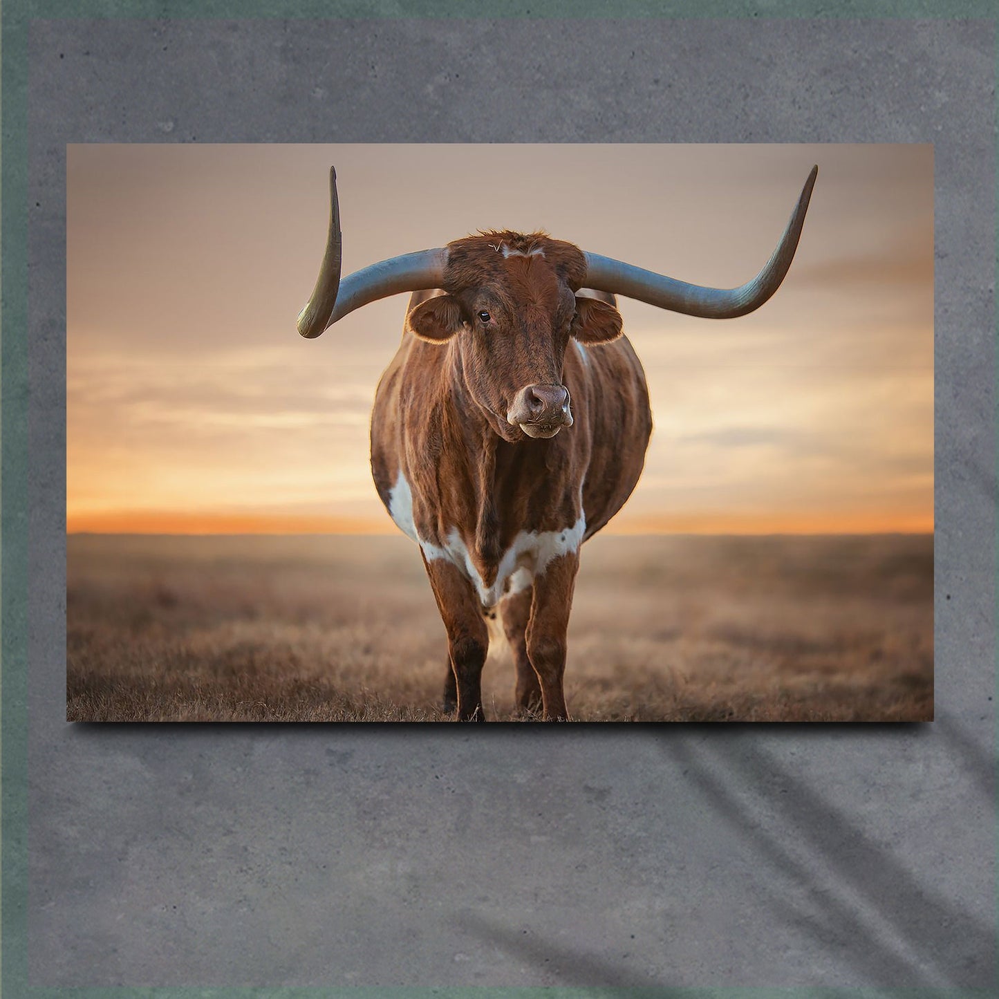 Mighty Longhorn Cattle Canvas Wall Art