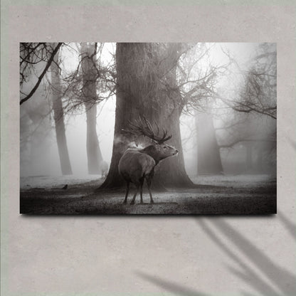 Monochrome Deer Canvas Wall Art