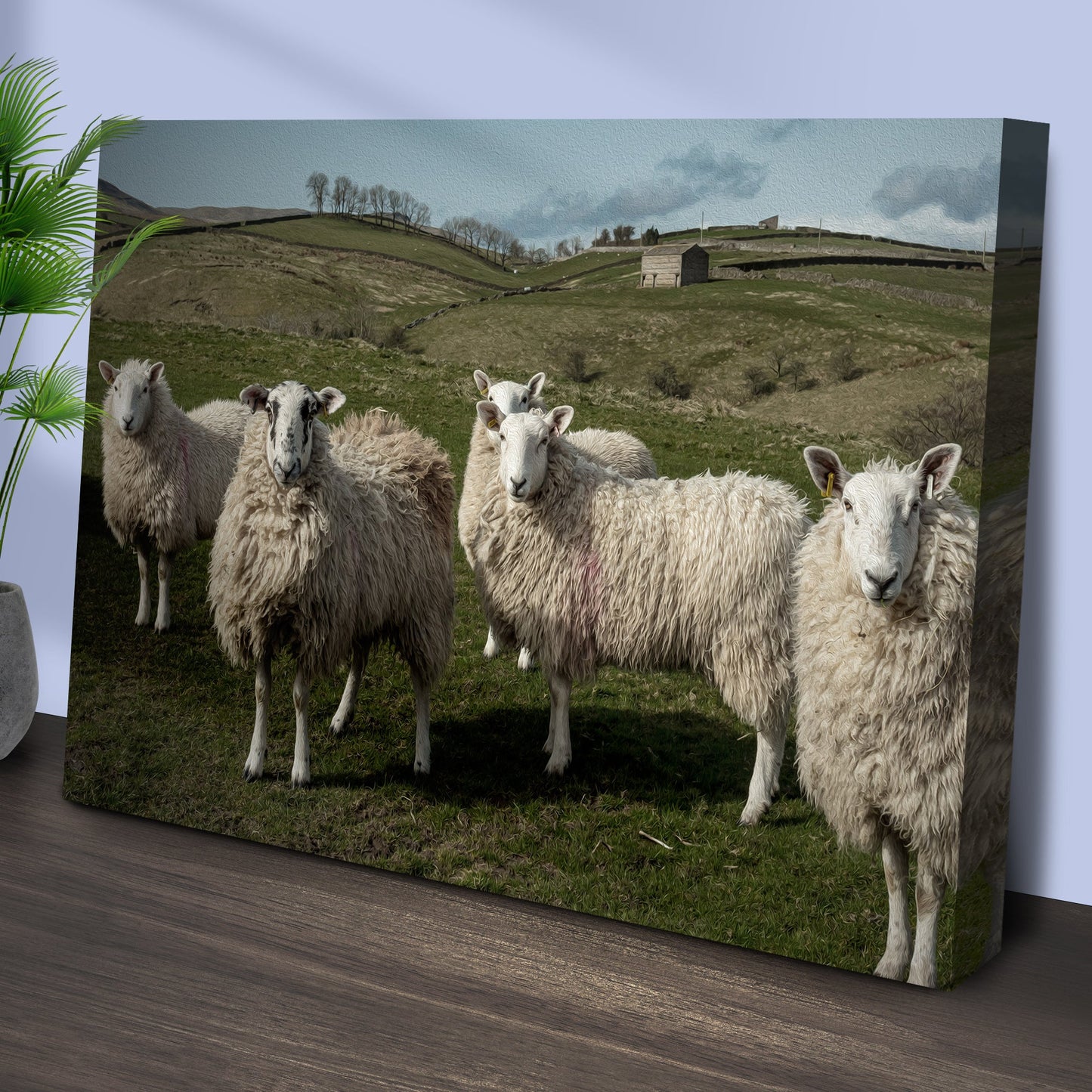 Flock Of Sheep Canvas Wall Art