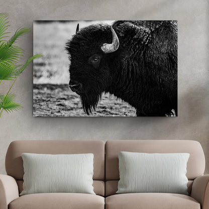 Black and White Bison Canvas Wall Art