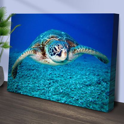 Green Sea Turtle Canvas Wall Art