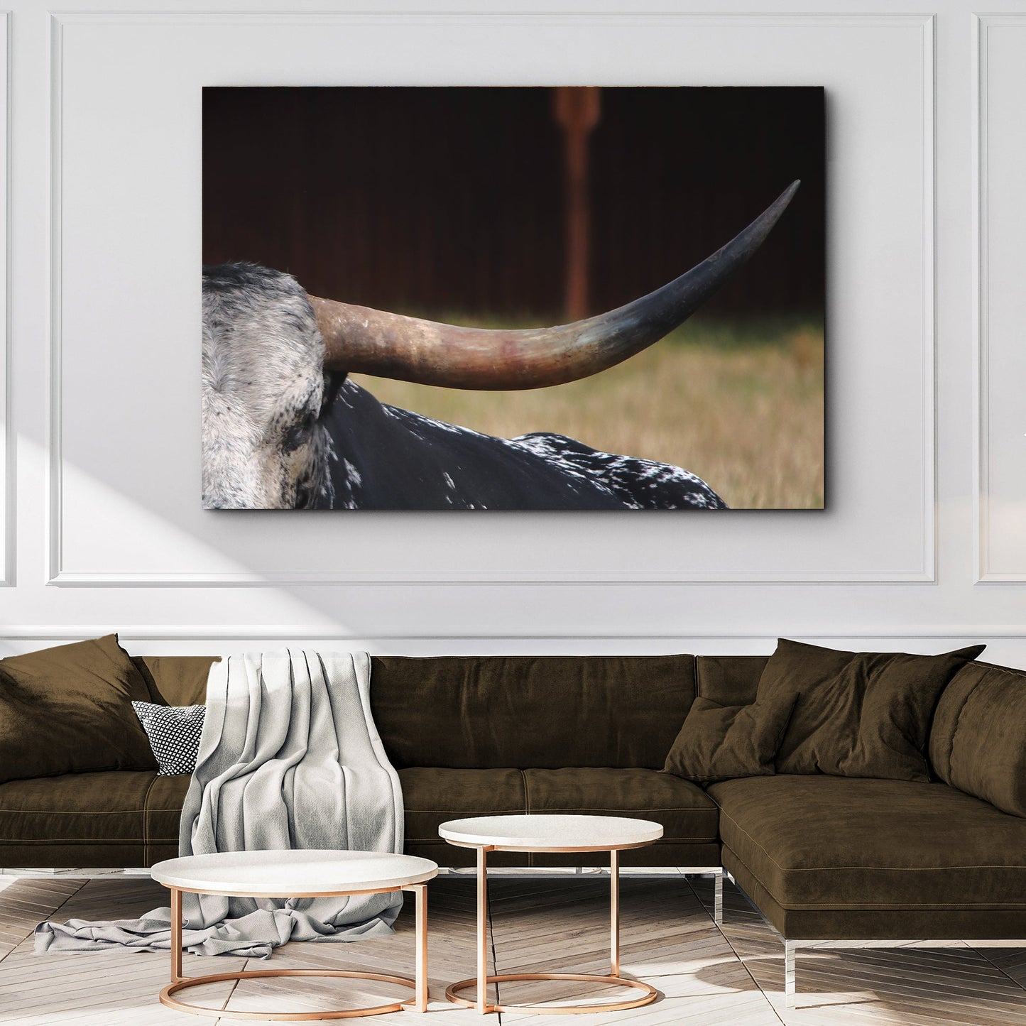 Focused Longhorn Cattle Canvas Wall Art