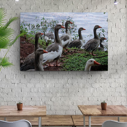 Flock Of Domestic Geese Canvas Wall Art