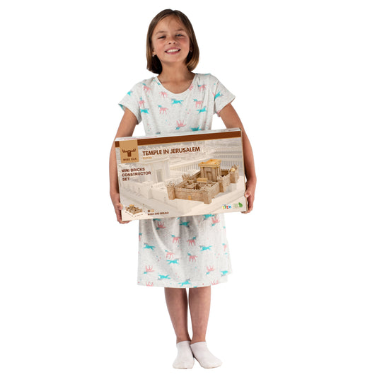 Mini Bricks Construction Set Temple in Jerusalem