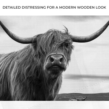 Highland Cow Black And White Portrait Canvas Wall Art