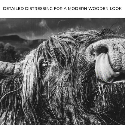 West Highland Cow Monochrome Canvas Wall Art