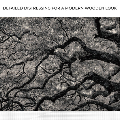 Monochrome Angel Oak Tree Canvas Wall Art