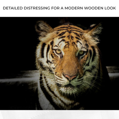 Lurking Tiger In The Dark Canvas Wall Art