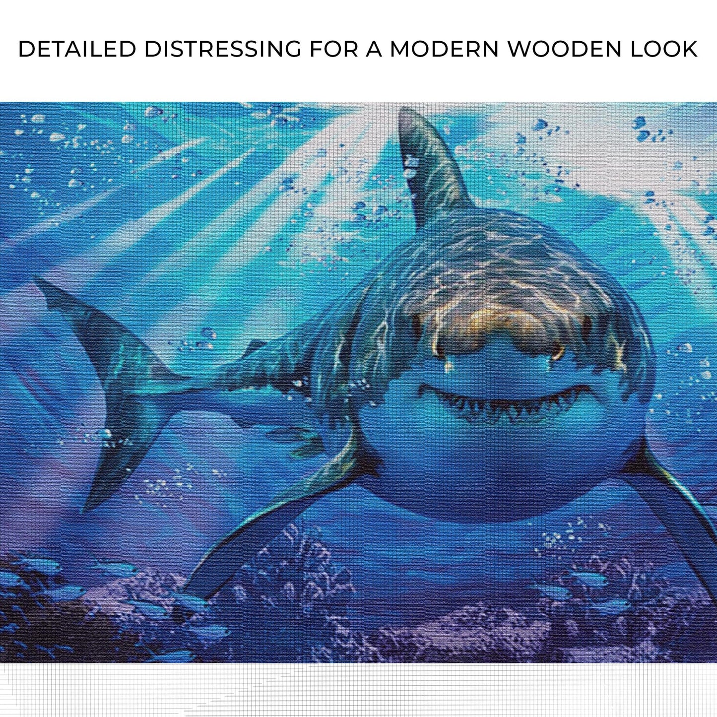 Underwater White Shark Canvas Wall Art