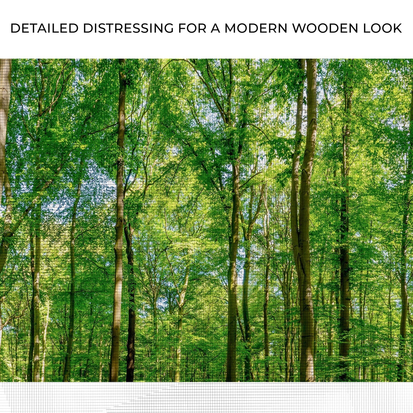 Golden Rays Into The Forest Canvas Wall Art