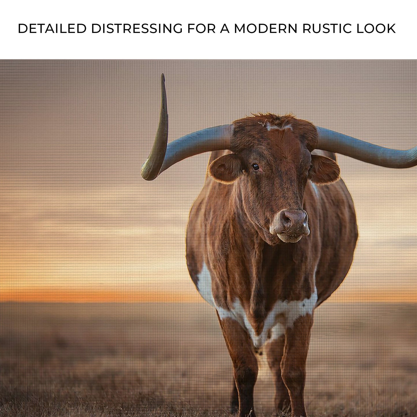 Mighty Longhorn Cattle Canvas Wall Art