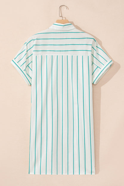 Plus Size Stripe St. Patrick's Day Button-Front Dress