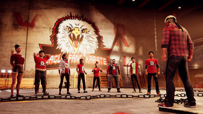 Cobra Kai 2: Dojos Rising (Nintendo Switch)