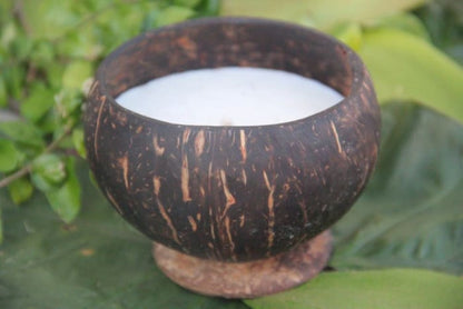 Coconut Shell Candle
