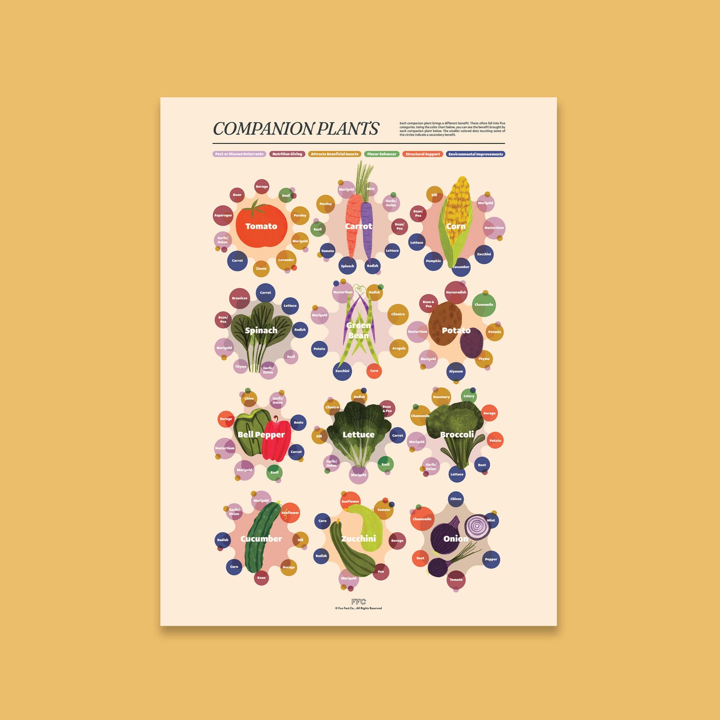 Companion Plants Print