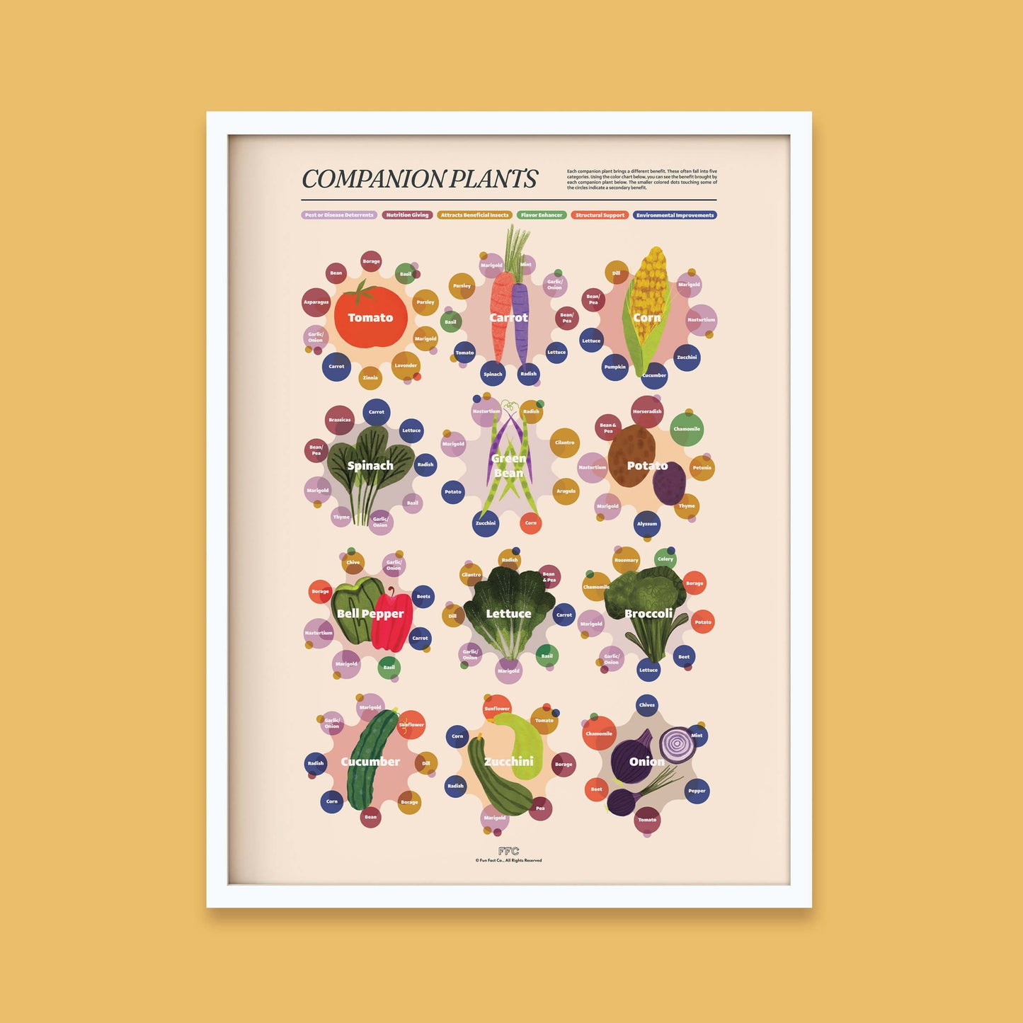 Companion Plants Print