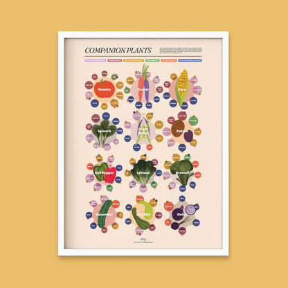 Companion Plants Print