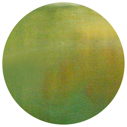 Handmade Shaman Drum - Tree of Life Design