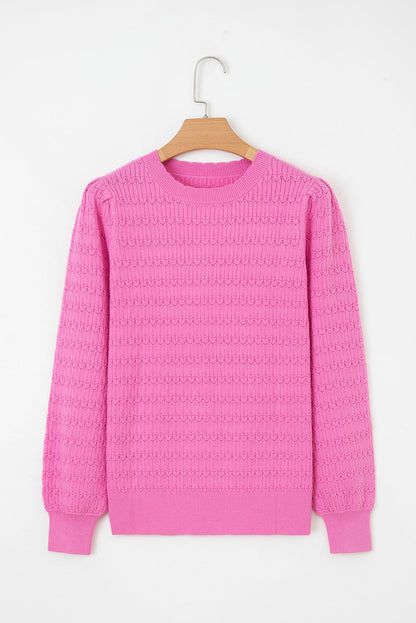 Solid Knit Ribbed Cuff Crewneck Sweater