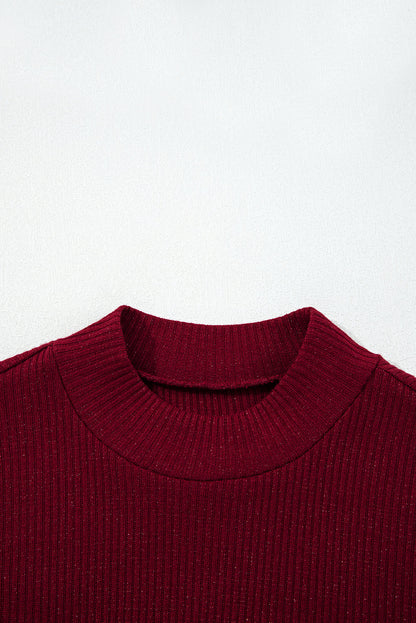 Solid Metallic Ribbed Knit Long Sleeve Top