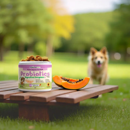 Dog Probiotics Digestive Enzymes - 120 Soft Chews