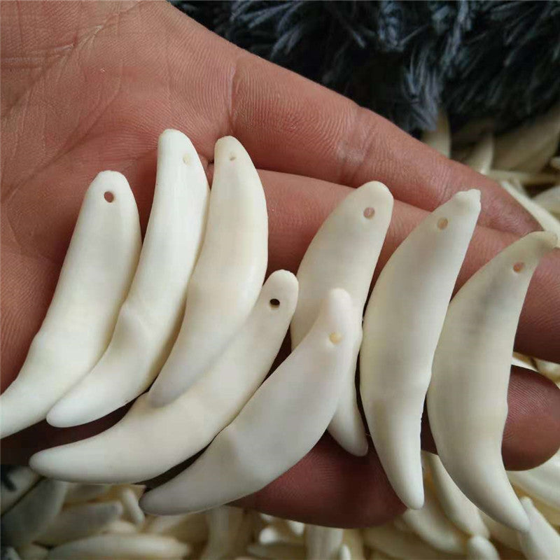 Wolf Tooth Pendant Bleached Necklace Ornament