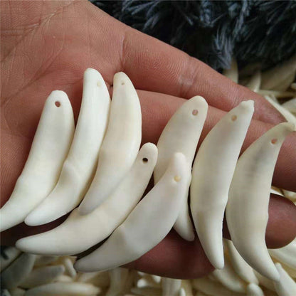 Wolf Tooth Pendant Bleached Necklace Ornament