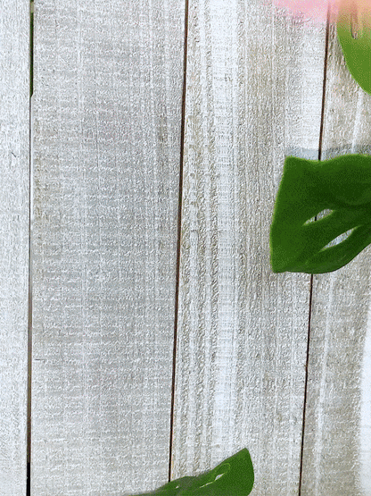 Body Candy Gift Box Packaging