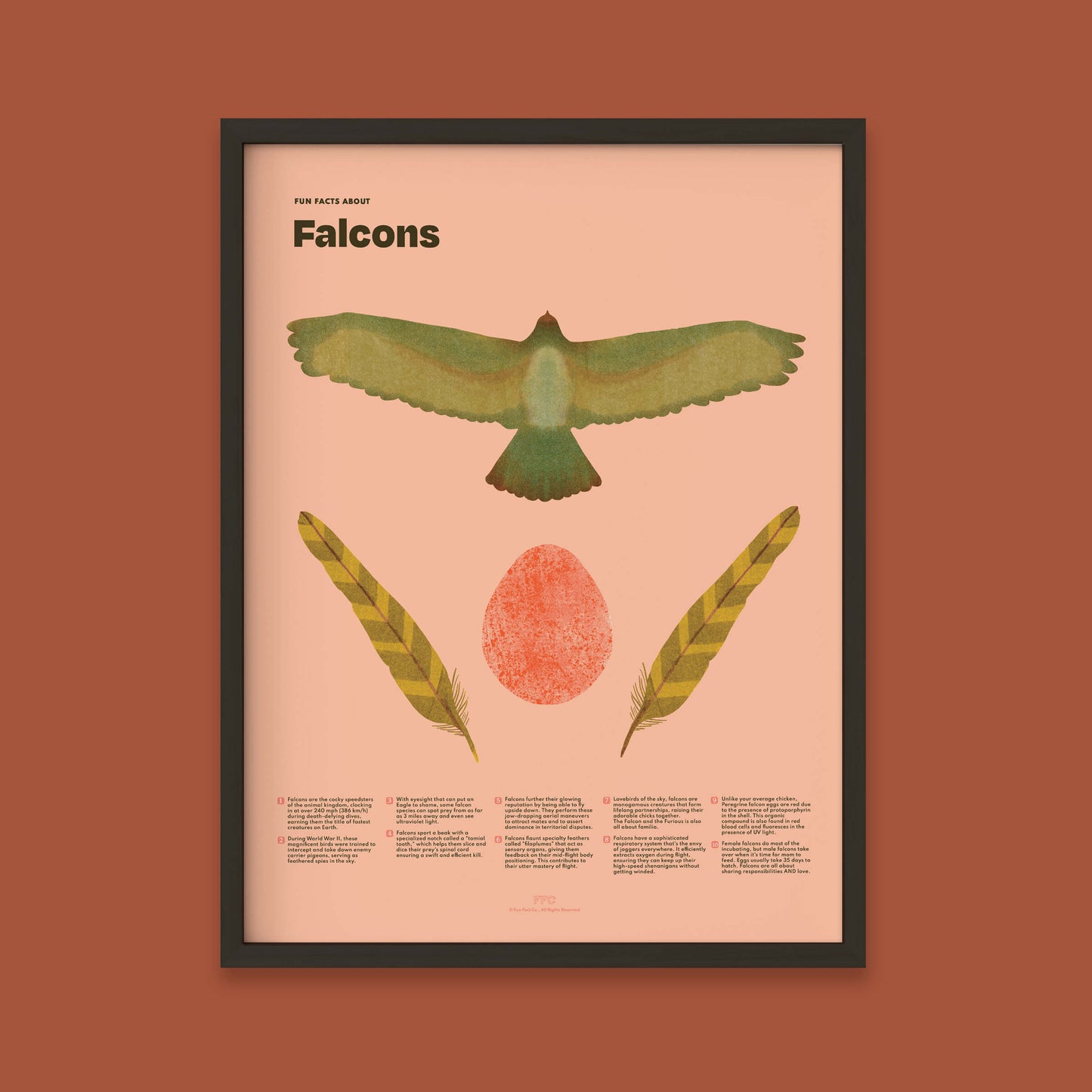 Falcon Fun Facts Print