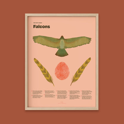 Falcon Fun Facts Print