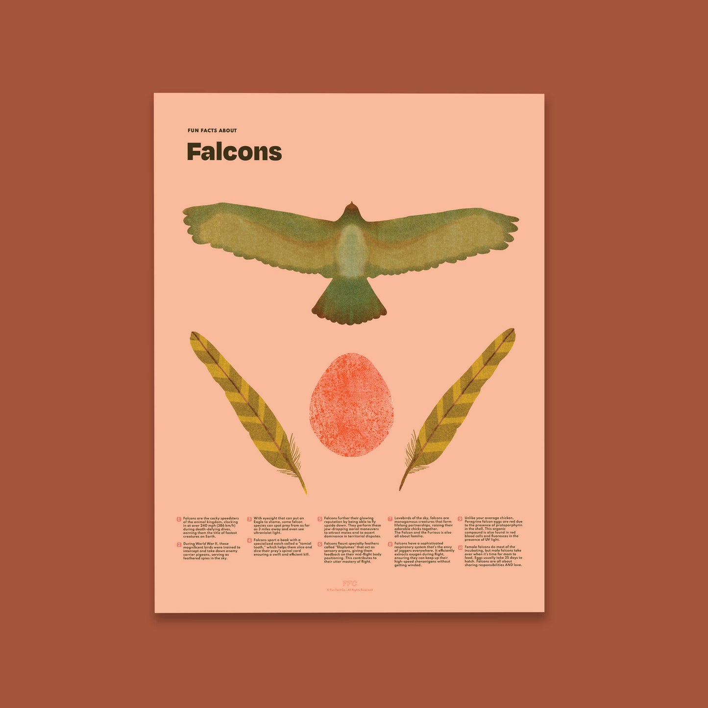 Falcon Fun Facts Print